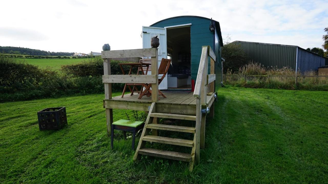 فيلا Shepherd'S Hut Westcote هاويك المظهر الخارجي الصورة